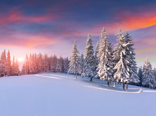 Obraz premium Colorful winter sunrise in the mountains