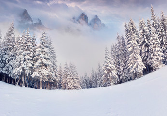 Fototapeta premium Foggy winter morning in the mountains