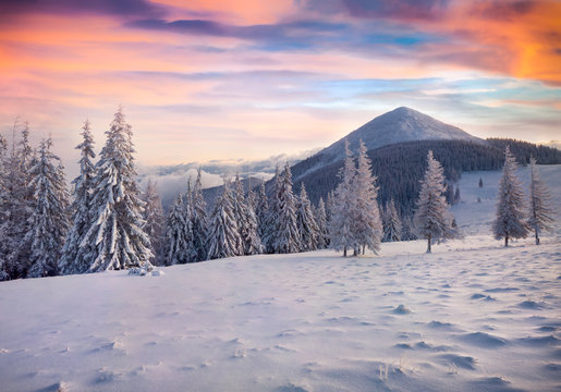 Colorful winter sunrise in the foggy mountains