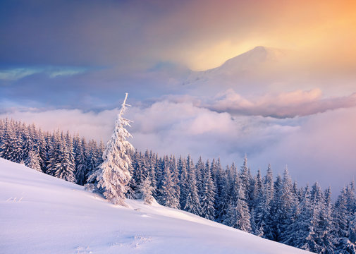 Colorful winter sunrise in the foggy mountains