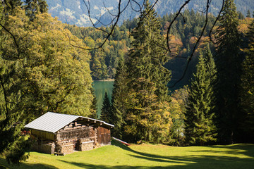 Hütte aus Holz auf einer grünen Wiese im Allgäu