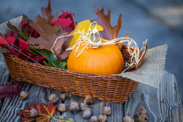 Autumn arrangement of pumpkin