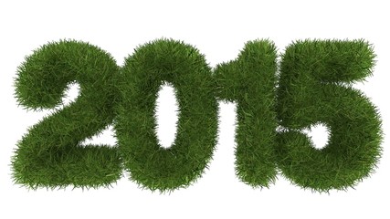 Obraz na płótnie Canvas 2015 Merry Christmas and Happy New Year ,3d grass