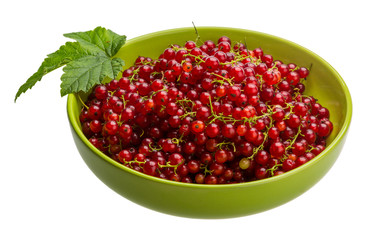 Red currant