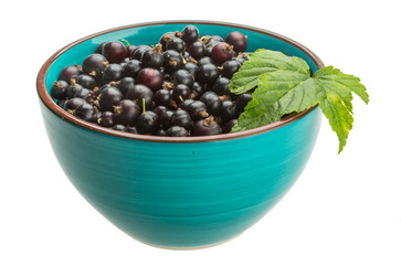 Black currant