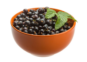 Black currant