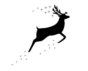 Reindeer with stars on white background