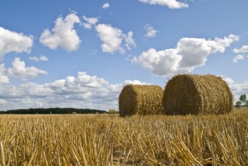 Ballots de paille
