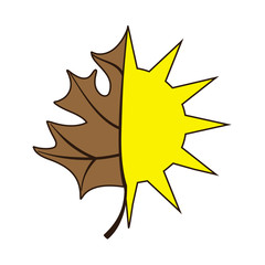 sun and leaf