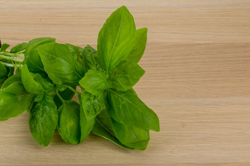 Basil leaves