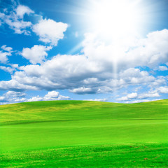 Green Grass Idyllic Landscape