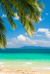 Fototapeta na wymiar Coconut Getaway Idyllic Coast