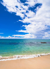 Shore Landscape Heavenly Blue