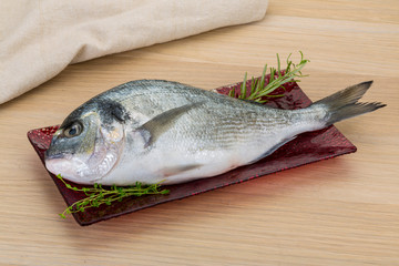 Raw dorado