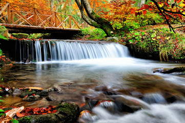 Fototapeta na wymiar Waterfall in the autumn forest