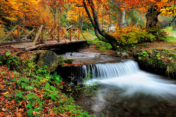 Obraz na płótnie Canvas Waterfall in the autumn forest