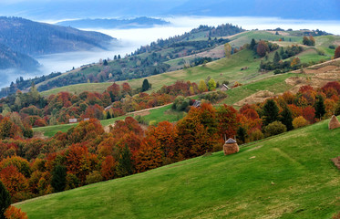 Autumn scene with mountains