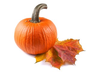 Pumpkin and maple leaf on white background, Halloween