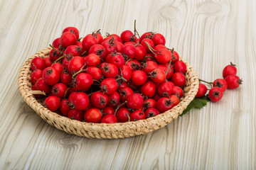 Hawthorn