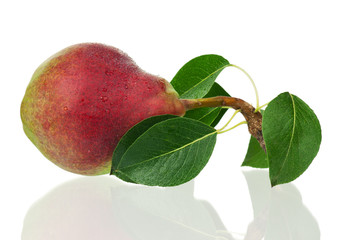 Ripe pear