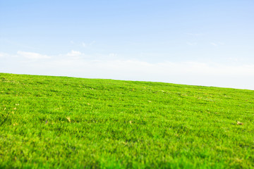 Heavenly Green Fields