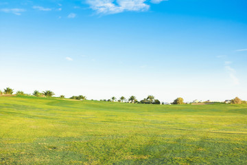 Grass Fields Of Green