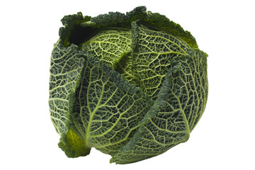 Fototapeta premium Organic Savoy Cabbage Isolated