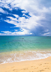 Serene Waters Sunshine Surf