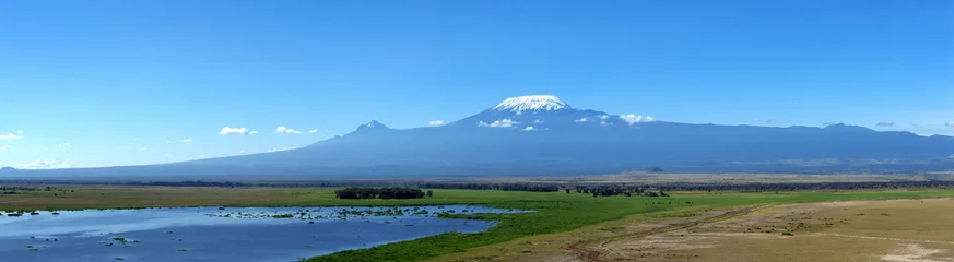 Cercles muraux Kilimandjaro Montagne du Kilimandjaro