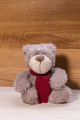 Teddy bear, a stuffed toy bear 