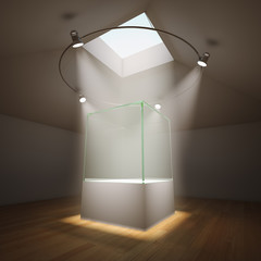 Empty glass showcase in room