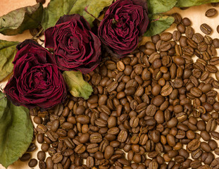 dry red roses on coffee seeds and wooden background