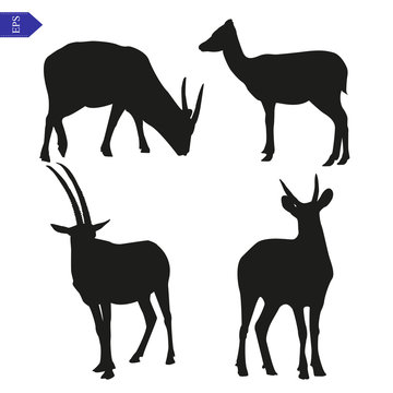 Vector silhouettes of wild goats