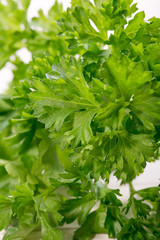 Parsley on table close-up 
