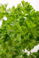 Parsley on table close-up 