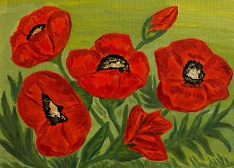 Poppies, oil painting