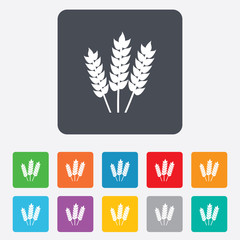 Agricultural sign icon. Gluten free or No gluten