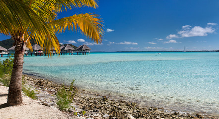 Perfect beach on Bora Bora