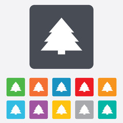 Christmas tree sign icon. Holidays button.