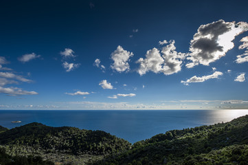 Aerial view of the ocean and forest