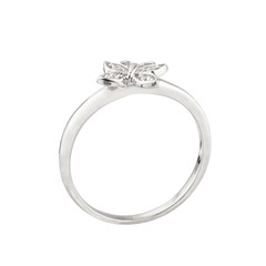 Fototapeta premium jewelry
