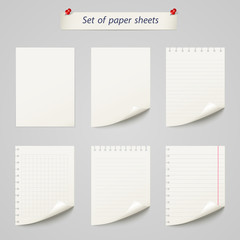 Vector set of  paper sheet ,texture notebook sheets isolated - obrazy, fototapety, plakaty