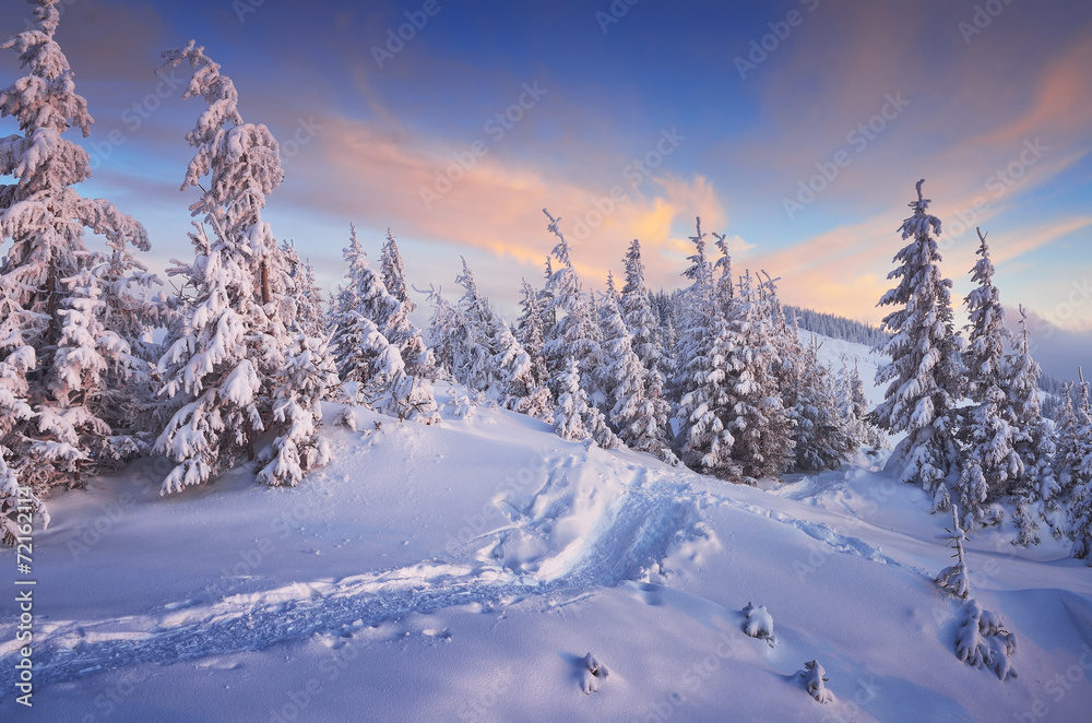 Wall mural christmas landscape