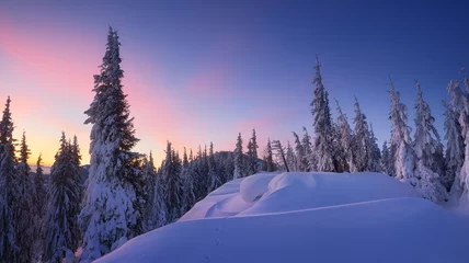 Photo sur Plexiglas Hiver Winter panorama of mountains