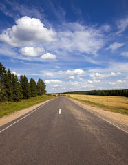 summer road - the asphalted road to summertime of year. along the road trees grow