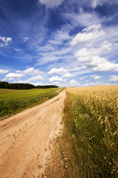 the rural road - the rural not asphalted road which is passing across the field
