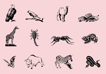 Planche animaux noir et blanc Stickers tatouages 1