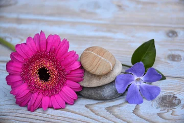 Fototapeten Drei Zensteine auf altem Holz mit Blumen © trinetuzun