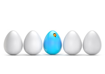 leader chick hatching egg