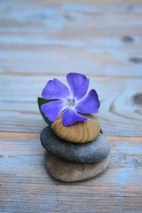 Gordijnen Drie Zen stenen op oud hout met paarse bloem © trinetuzun